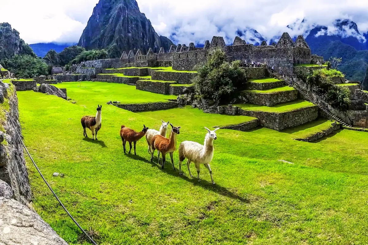 Fotografía de la ciudadela de Machupicchu.