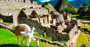 machupicchu-full-day-