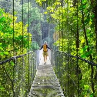 Naturaleza